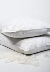 Anti Allergy Duck Feather and Down Pillow